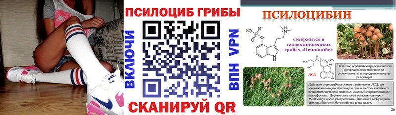 что такое   Усмань  Галлюциногенные грибы GOLDEN TEACHER 
